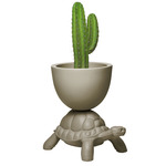 Turtle Carry Planter & Champagne Cooler - Dove Gray