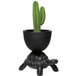 Turtle Carry Planter & Champagne Cooler - Black