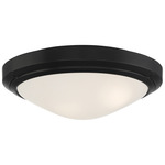 Oceanus Outdoor Ceiling Light Fixture - Matte Black / Frosted