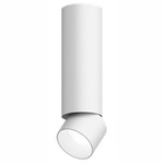 Entra 2 Inch LED Adjustable Cylinder Ceiling Light - White / White