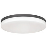 Oscar Color Select Ceiling Light - Black / White