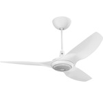 Haiku Universal Mount Outdoor Ceiling Fan with Downlight - White / White