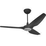 Haiku Universal Mount Outdoor Ceiling Fan with Downlight - Black / Black