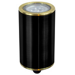 Carlsbad Outdoor Well Light 12V - Black Brass / Clear