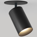 CM1 Monopoint Adjustable Spot Light - Brushed Obsidian / Black Baffle