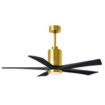 Patricia Ceiling Fan With Light - Brushed Brass / Matte Black