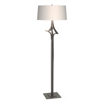 Antasia Floor Lamp - Natural Iron / Flax