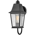 Kingston Outdoor Wall Sconce - Black / Clear Seedy