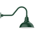 Cafe Gooseneck Outdoor Wall Light - Forest Green / White