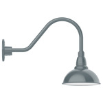 Cafe Gooseneck Outdoor Wall Light - Slate Gray / White