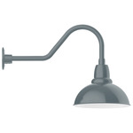 Cafe Gooseneck Outdoor Wall Light - Slate Gray / White