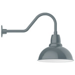 Cafe Gooseneck Outdoor Wall Light - Slate Gray / White