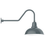 Cafe Gooseneck Outdoor Wall Light - Slate Gray / White