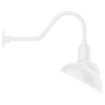 Emblem Outdoor Gooseneck Wall Light - White / White