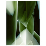 Studio Nucleo Carpet - Green Onyx
