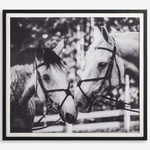 Apple of My Eye Framed Print - Satin Black / Black / White