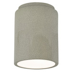 Radiance 6100 Outdoor Ceiling Light - Celadon Green Crackle