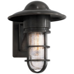 Marine Outdoor Wall Sconce - Bronze / Seeded