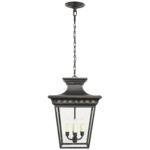 Elsinore Outdoor Pendant - Black / Clear