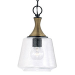 Amara Pendant - Matte Black / Aged Brass / Clear Seeded