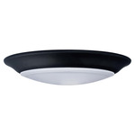 Disk Color-Select Ceiling Light - Black / Frosted