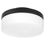 Rounded Damp Location Fan Light Kit - Matte Black / Satin Opal