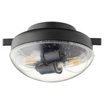 Clear Dome Wet Location Fan Light Kit - Textured Black / Clear Seeded