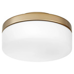 Rounded Damp Location Fan Light Kit - Aged Brass / Satin Opal