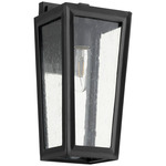 Bravo Outdoor Wall Sconce - Textured Black / Clear Seedy