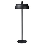 Acorn Floor Lamp - Matte Black / Opal