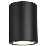 Harley Cylinder Ceiling Light - Matte Black