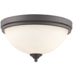 Bordeaux Ceiling Light - Bronze / Matte Opal