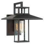 Danforth Park Outdoor Wall Light - Oil Rubbed Bronze / Clear Seedy