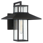 Danforth Park Outdoor Wall Light - Oil Rubbed Bronze / Clear Seedy