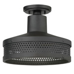 Abalone Point Outdoor Ceiling Light - Coal