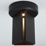 Delta Ceiling Light - Matte Black