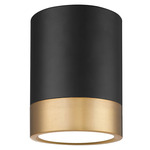 Algar Spot Color-Select Ceiling Flush Light - Matte Black / Modern Gold / Frosted