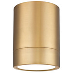 Algar Spot Color-Select Ceiling Flush Light - Modern Gold / Frosted