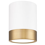 Algar Spot Color-Select Ceiling Flush Light - Matte White / Modern Gold / Frosted