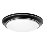 Baron Color-Select Ceiling Flush Light - Black / Frosted