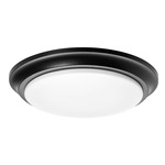 Baron Color-Select Ceiling Flush Light - Black / Frosted