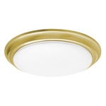 Baron Color-Select Ceiling Flush Light - Satin Brass / Frosted