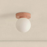 Orb Outdoor Wall / Ceiling Light - Peach / White Glass