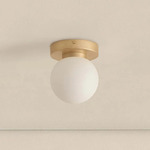 Orb Outdoor Wall / Ceiling Light - Brass / White Glass
