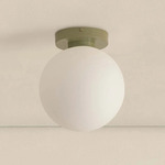 Orb Outdoor Wall / Ceiling Light - Reed Green / White Glass