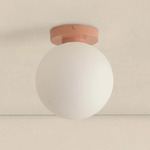 Orb Outdoor Wall / Ceiling Light - Peach / White Glass