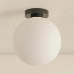 Orb Outdoor Wall / Ceiling Light - Black / White Glass