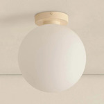 Orb Outdoor Wall / Ceiling Light - Bone / White Glass