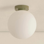 Orb Outdoor Wall / Ceiling Light - Reed Green / White Glass