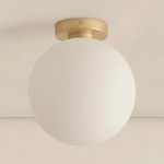 Orb Outdoor Wall / Ceiling Light - Brass / White Glass